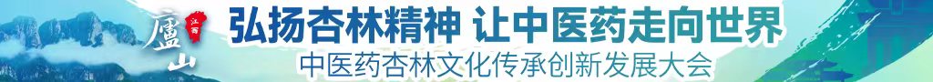 ktv大屌中医药杏林文化传承创新发展大会